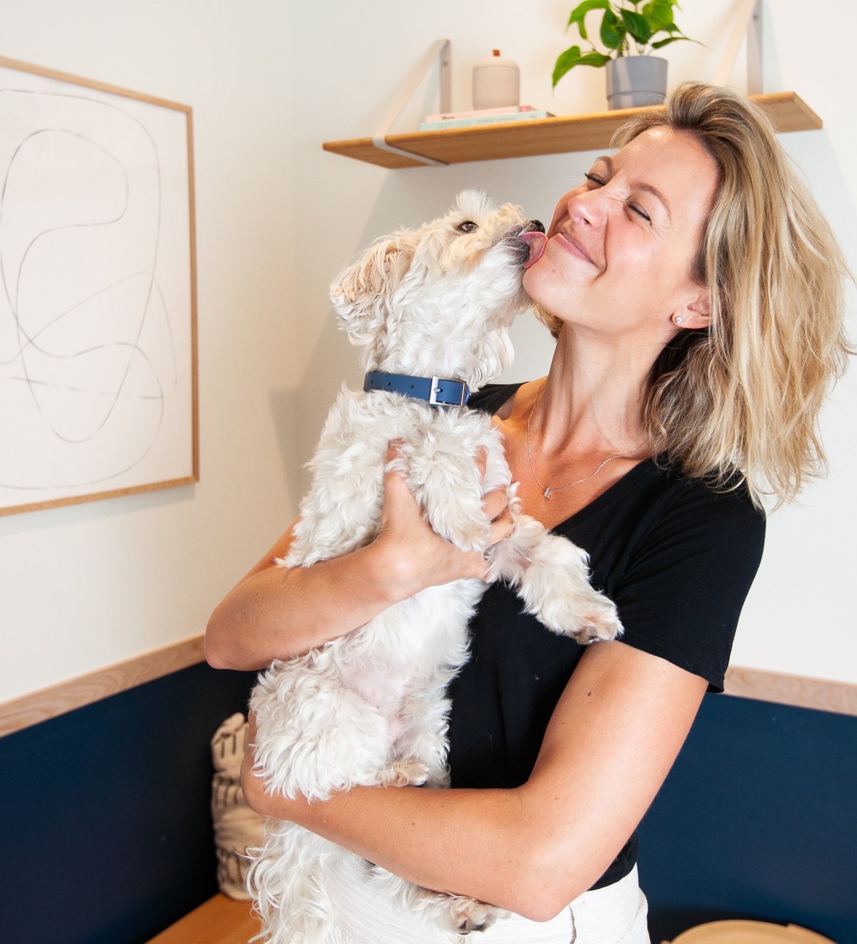 Why Do Dogs Lick So Much? Bond Vet