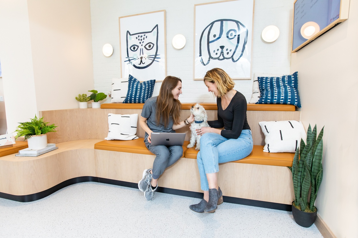 A New Kind Of Vet Clinic Animal Hospital Bond Vet A New Kind Of Vet Clinic Animal Hospital Bond Vet