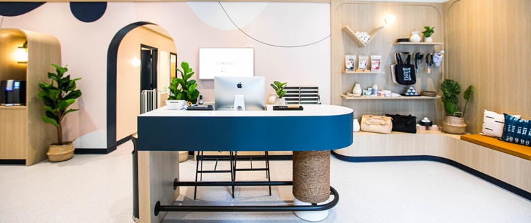 Modern reception area with a minimalist design featuring clean lines, a neutral color palette, and decorative plants.