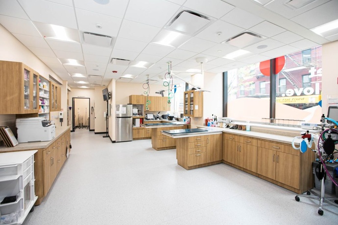 Bond Vet's Exam Room with the latest technology