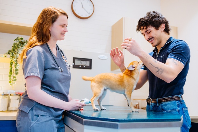 Vet Assistants