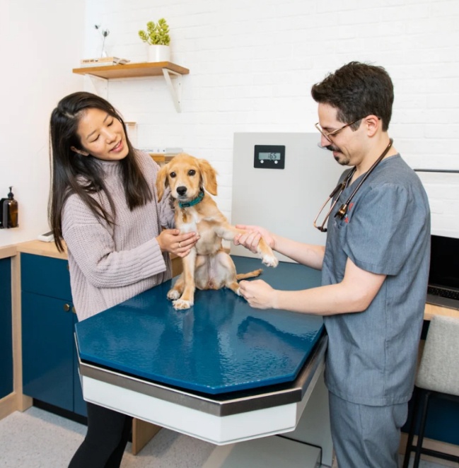 Routine & preventive care for dogs and cats