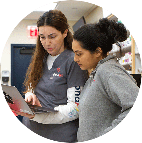 Veterinary Technicians