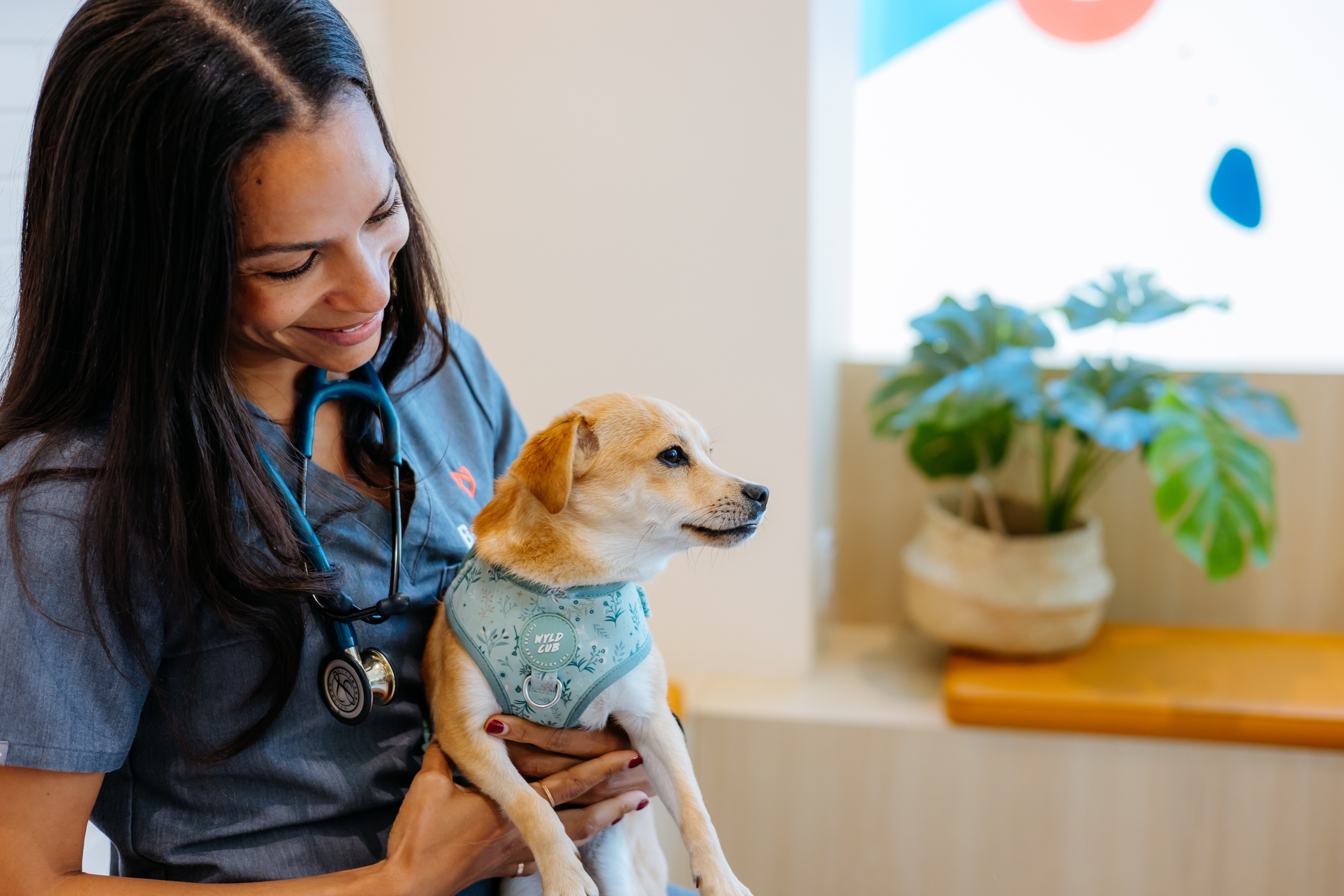 Veterinarians