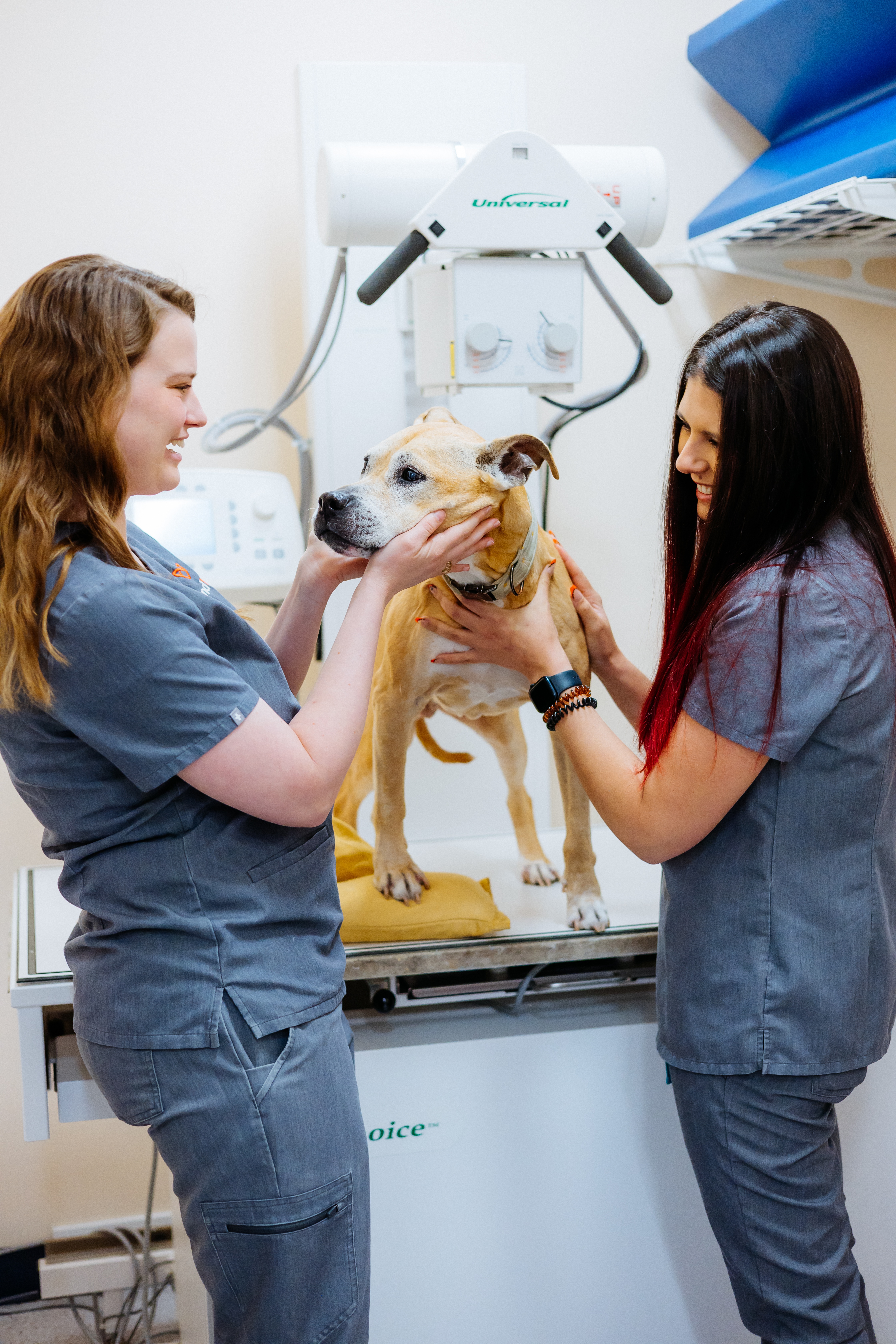 Vet Techs