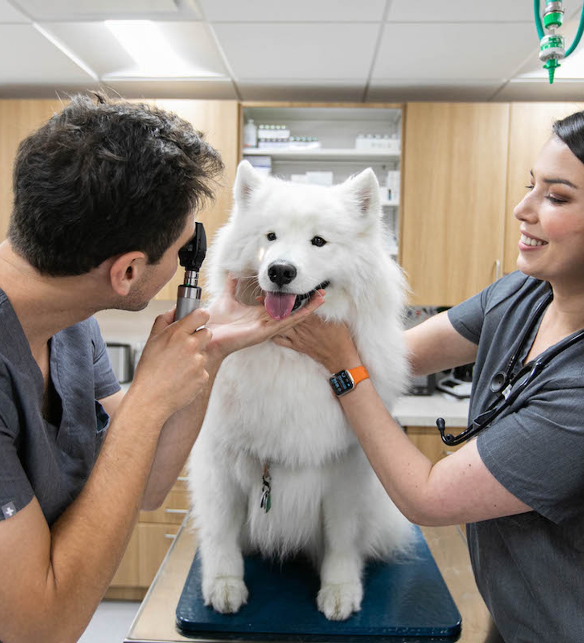 types of conjunctivitis in dogs