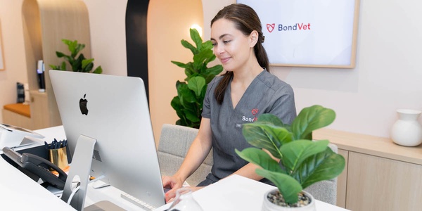 A woman in a gray medical uniform working at a reception desk with an imac, in an office branded "bond vet.