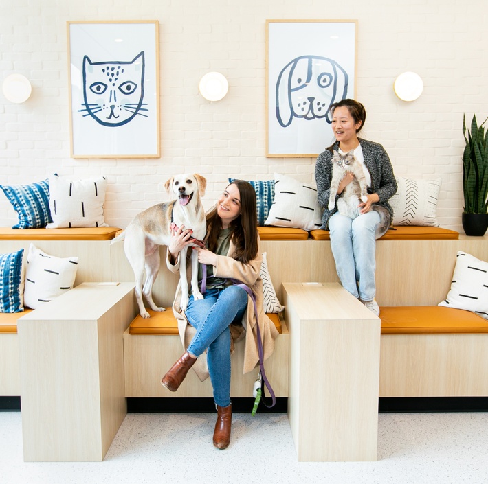 Two women sitting on a bench with two dogs.