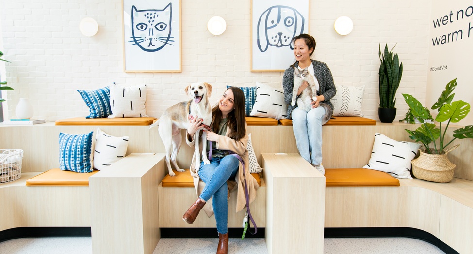 Two women sitting on a bench with two dogs.