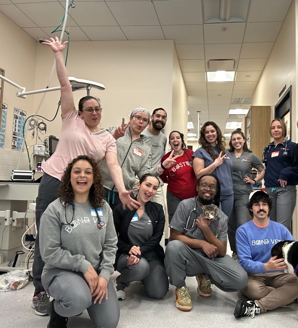 Empowering Our LVTs