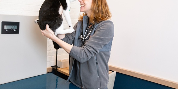 A woman in a gray sweater smiling while holding a black and white cat.