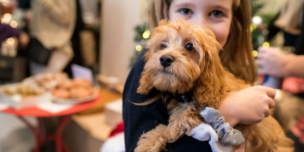 A young girl holding a small brown dog at a festive indoor gathering.