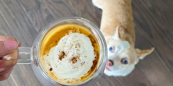 Fall Recipe: Pupkin Spice Latte