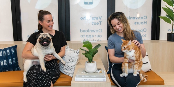 Two women smiling while sitting in a modern office space, one holding a pug and the other petting an orange tabby cat.