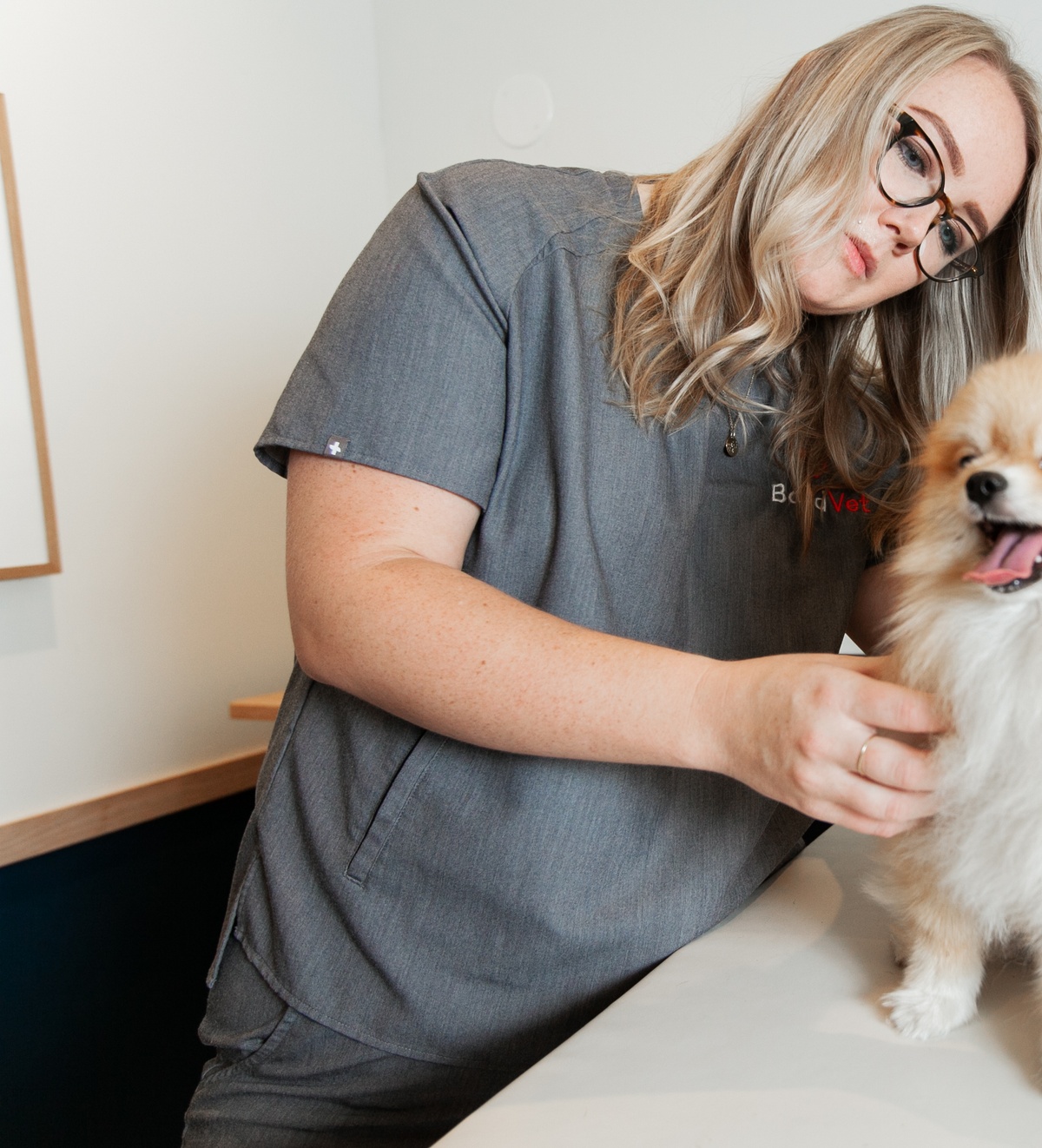 Why Is My Dog Scratching His Ear? Bond Vet