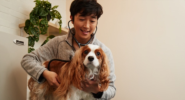 Diversity & Inclusion