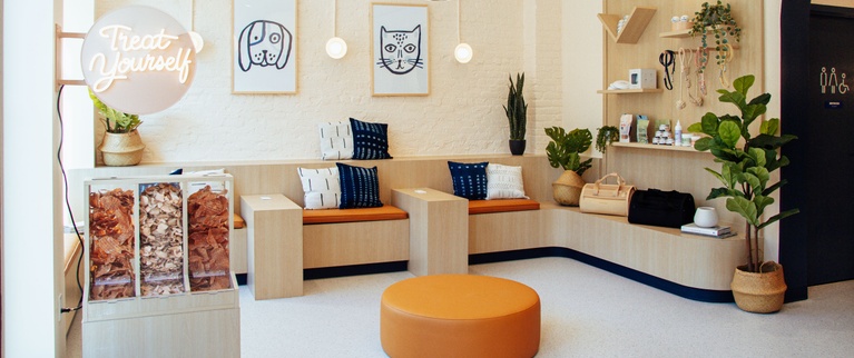Modern boutique interior with a comfortable seating area, decorative plants, and cat-themed artwork.