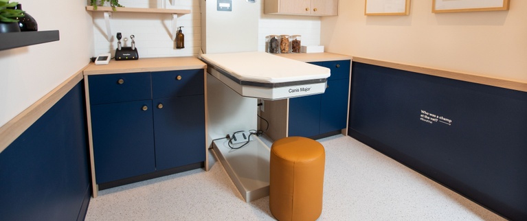 Modern kitchen interior with blue cabinets, white countertops, and wooden accents.