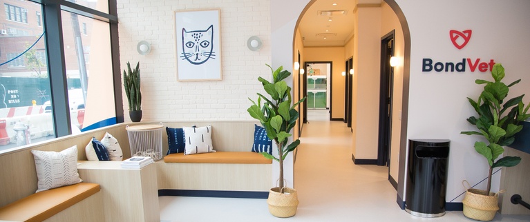 Modern waiting room with pet-themed decor, featuring comfortable seating and retail shelving with pet products.